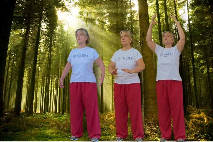 Chi Kung Terapêutico | Pack "Transformação"